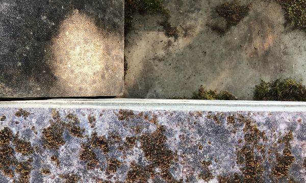 Concrete moss chair